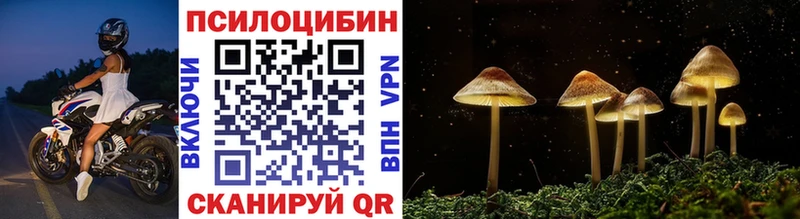 Псилоцибиновые грибы Psilocybe  Усть-Кут 